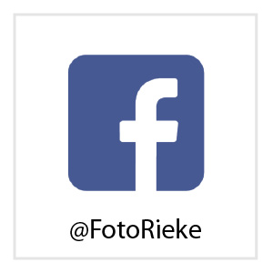 Facebookseite Rieke